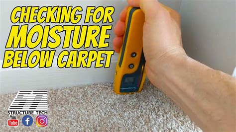 custom moisture meter for home inspection|acceptable moisture levels in carpet.